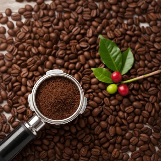buy coorg coffee powder online