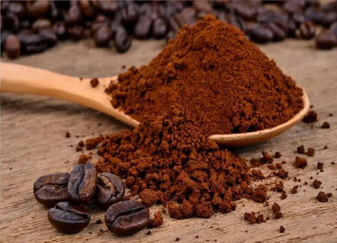 buy coorg filter coffee powder online
